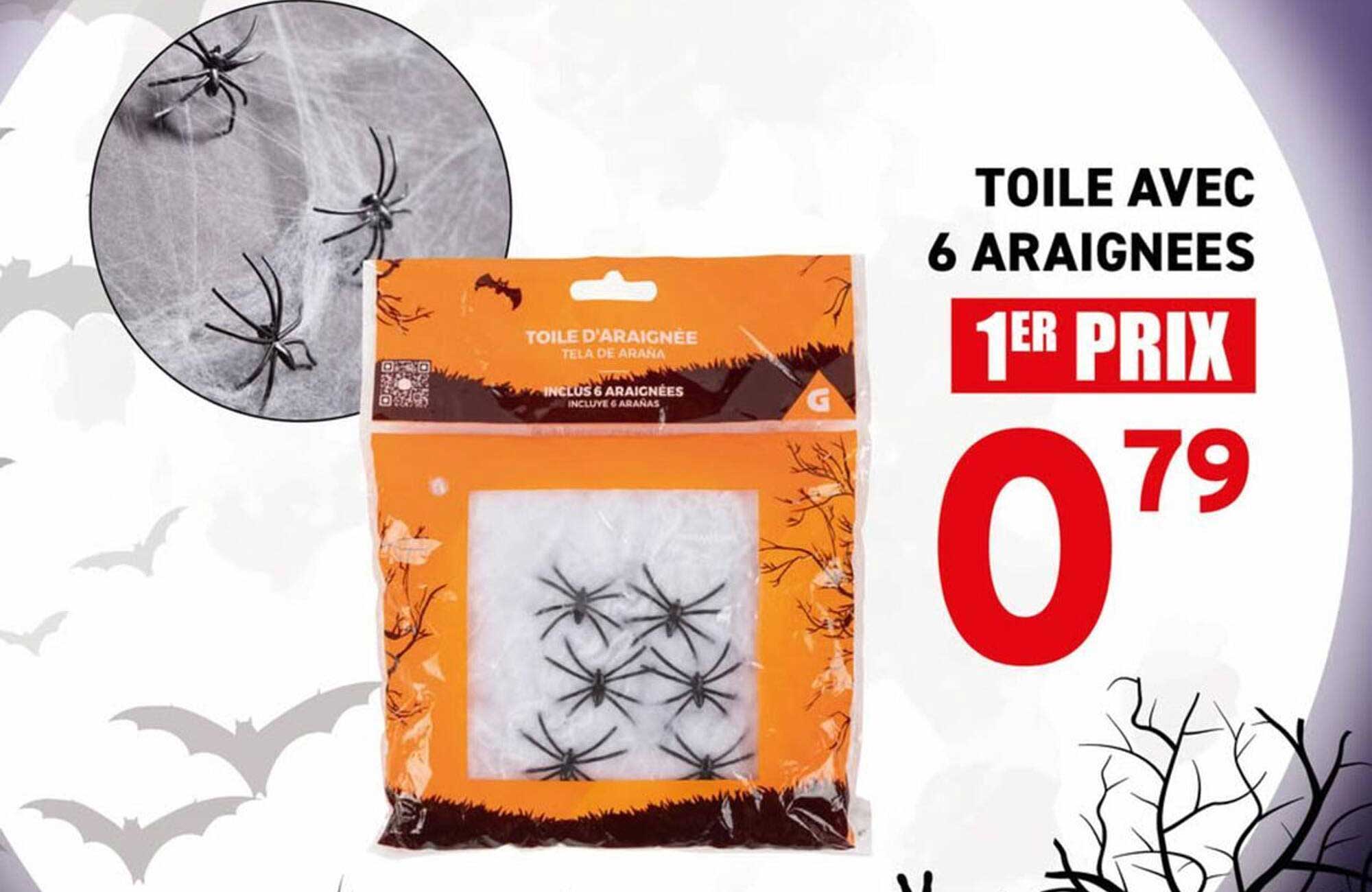 TOILE AVEC 6 ARAIGNÉES