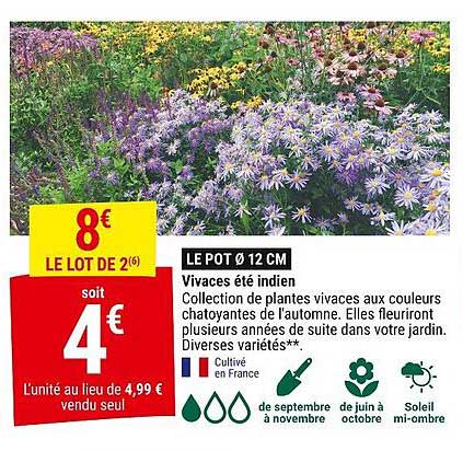 Vivaces été indien