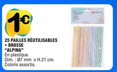 25 PAILLES RÉUTILISABLES + BROSSE “ALPINA”