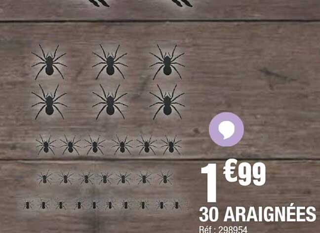 30 ARAIGNÉES