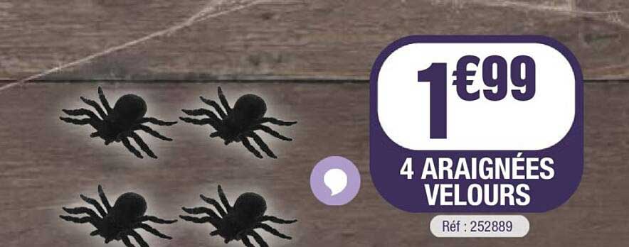 4 ARAIGNÉES VELOURS