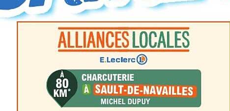 ALLIANCES LOCALES