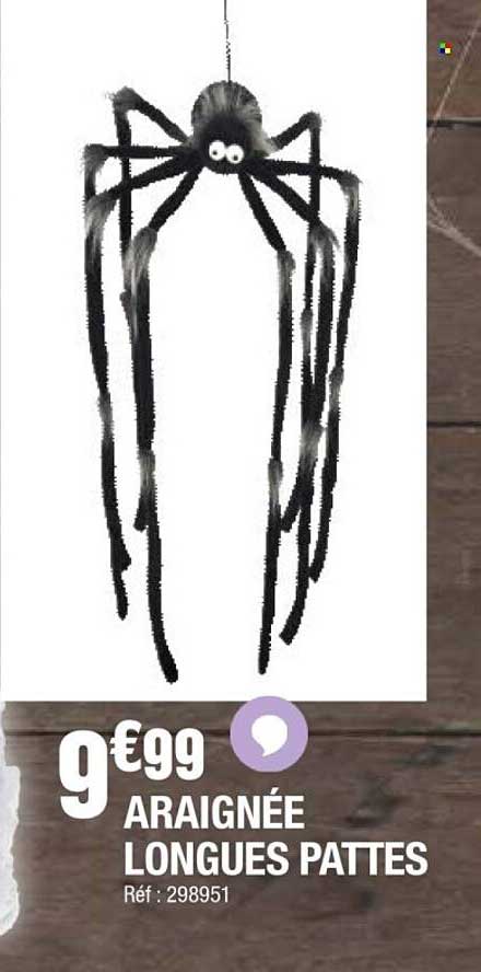 ARAIGNÉE LONGUES PATTES