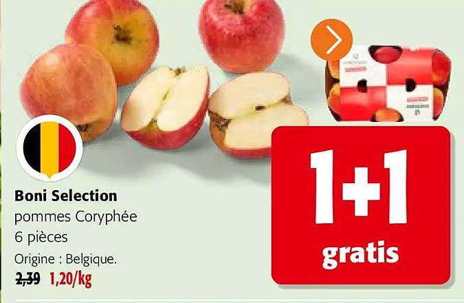 Boni Selection pommes Coryphée 6 pièces Origine : Belgique.
