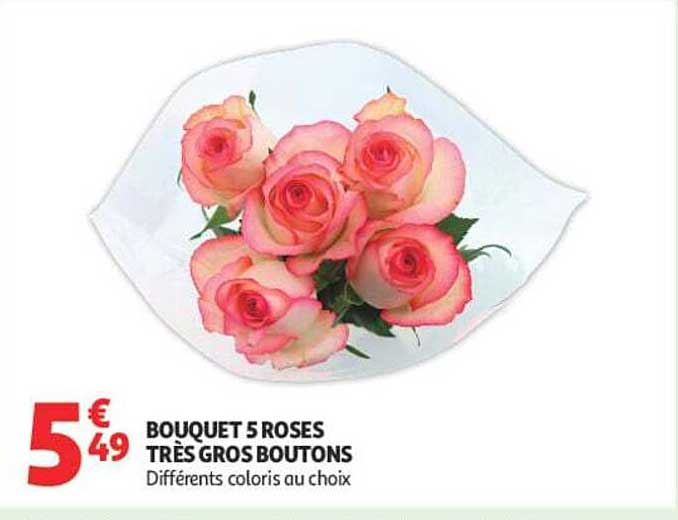 BOUQUET 5 ROSES TRÈS GROS BOUTONS