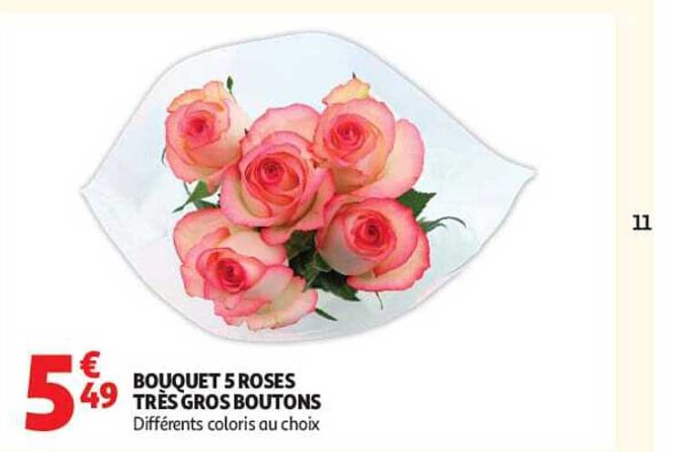 BOUQUET 5 ROSES TRÈS GROS BOUTONS