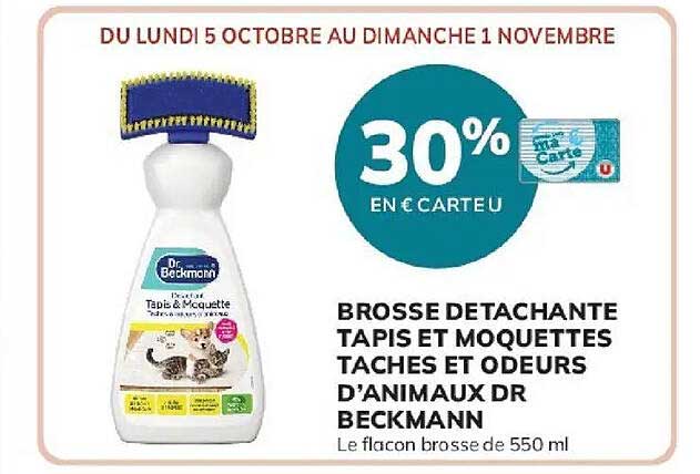 BROSSE DETACHANTE TAPIS ET MOQUETTES TACHES ET ODEURS D’ANIMAUX DR BECKMANN