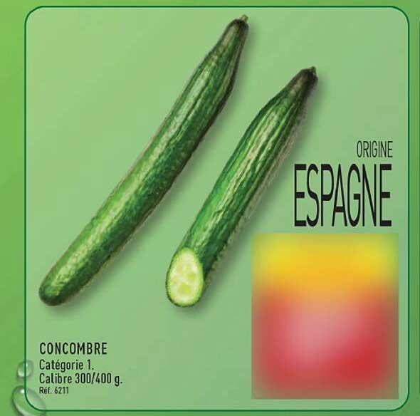 CONCOMBRE