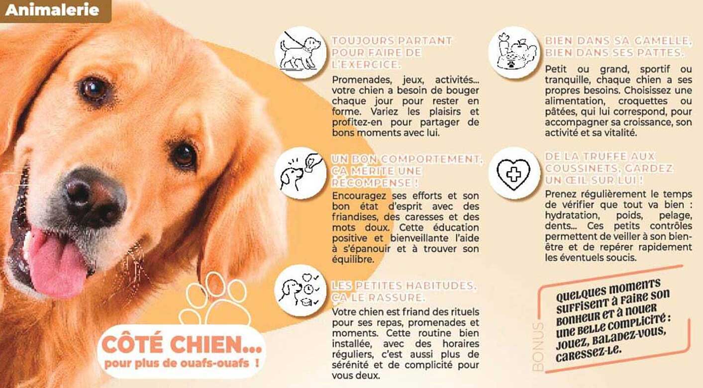 CÔTÉ CHIEN... pour plus de ouafs-ouafs !