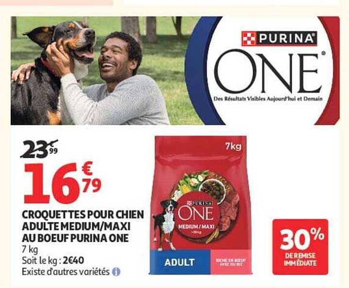 CROQUETTES POUR CHIEN ADULTE MEDIUM/MAXI AU BOEUF PURINA ONE