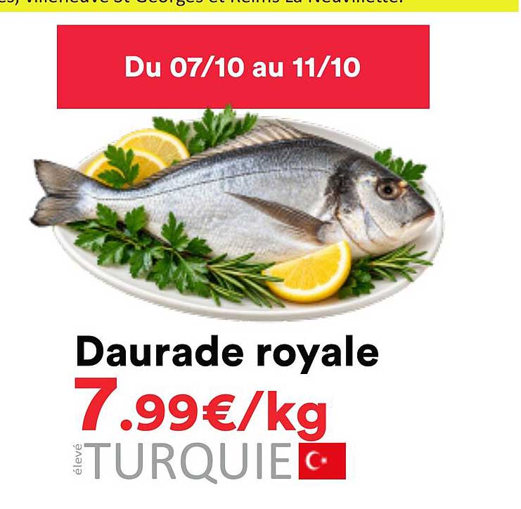 Daurade royale