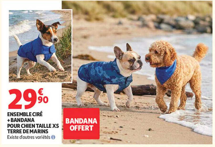 ENSEMBLE CIRE + BANDANA POUR CHIEN TAILLE XS TERRE DE MARINS