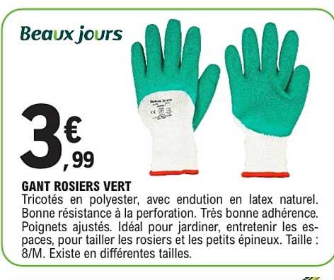 GANT ROSIERS VERT