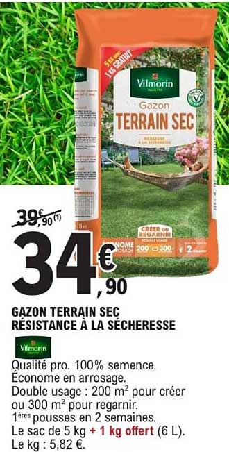 GAZON TERRAIN SEC RÉSISTANCE À LA SÉCHERESSE
