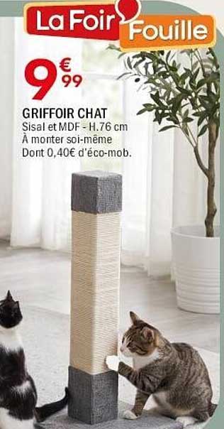 GRIFFOIR CHAT