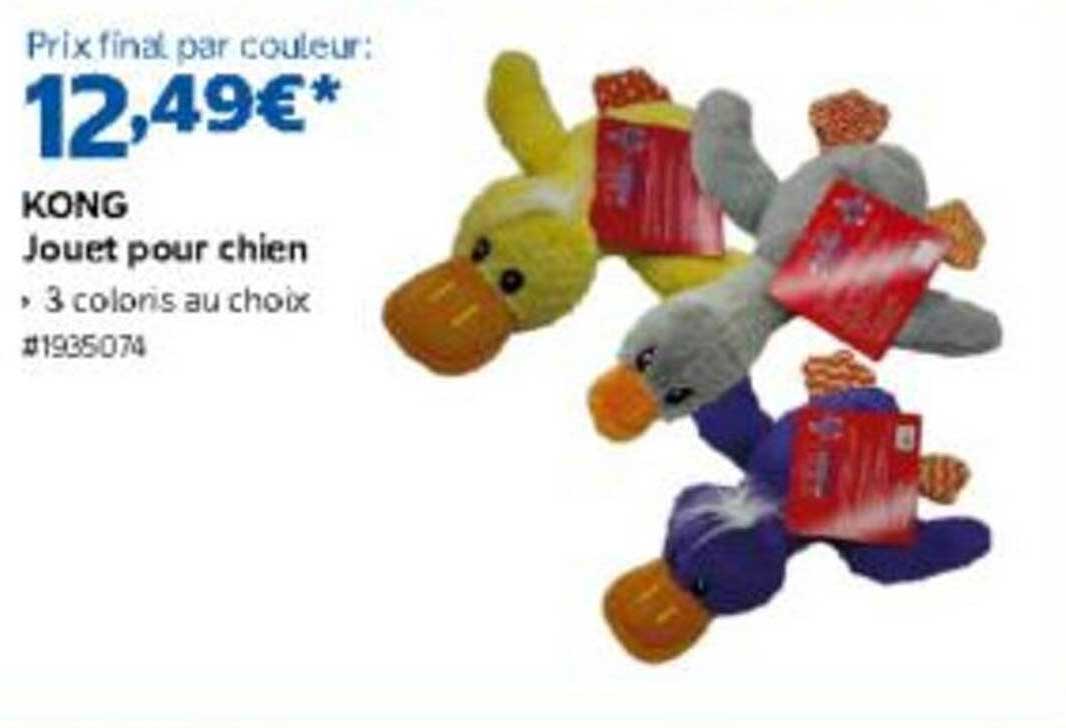 KONG Jouet pour chien