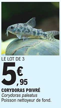 LE LOT DE 3
