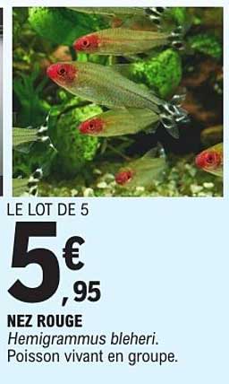 LE LOT DE 5