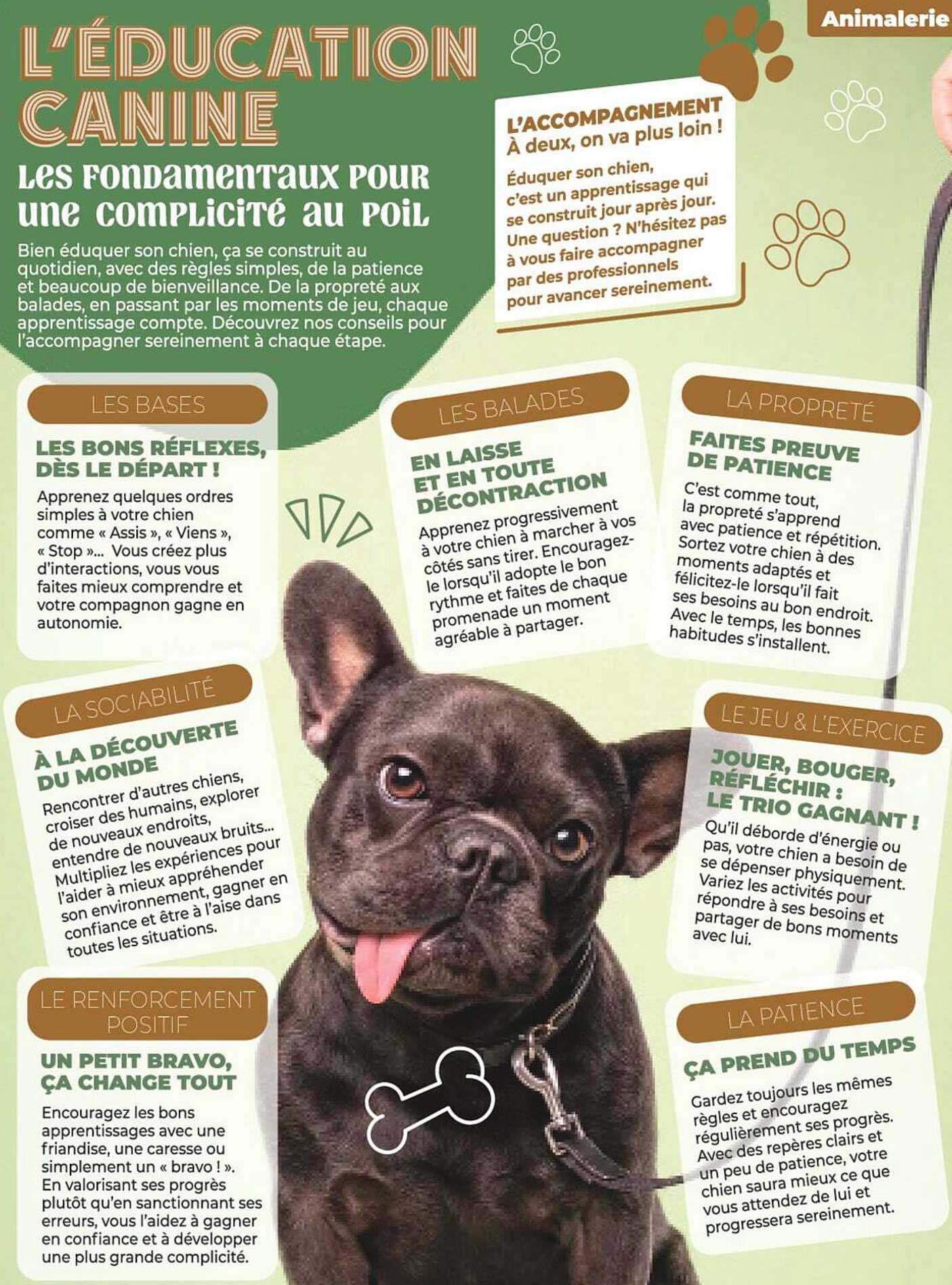 L’ÉDUCATION CANINE
