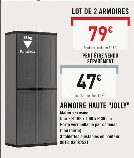 LOT DE 2 ARMOIRES