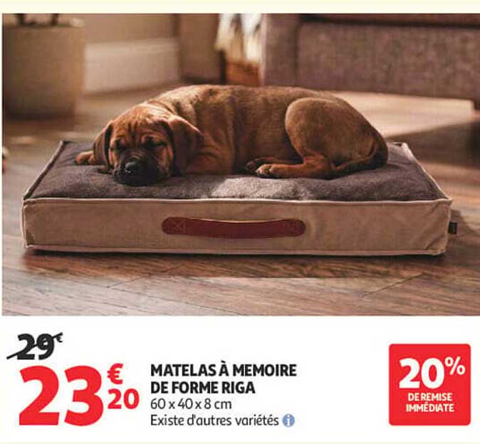 MATELAS À MEMOIRE DE FORME RIGA 60 x 40 x 8 cm Existe d'autres variétés