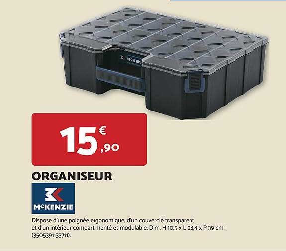 ORGANISEUR