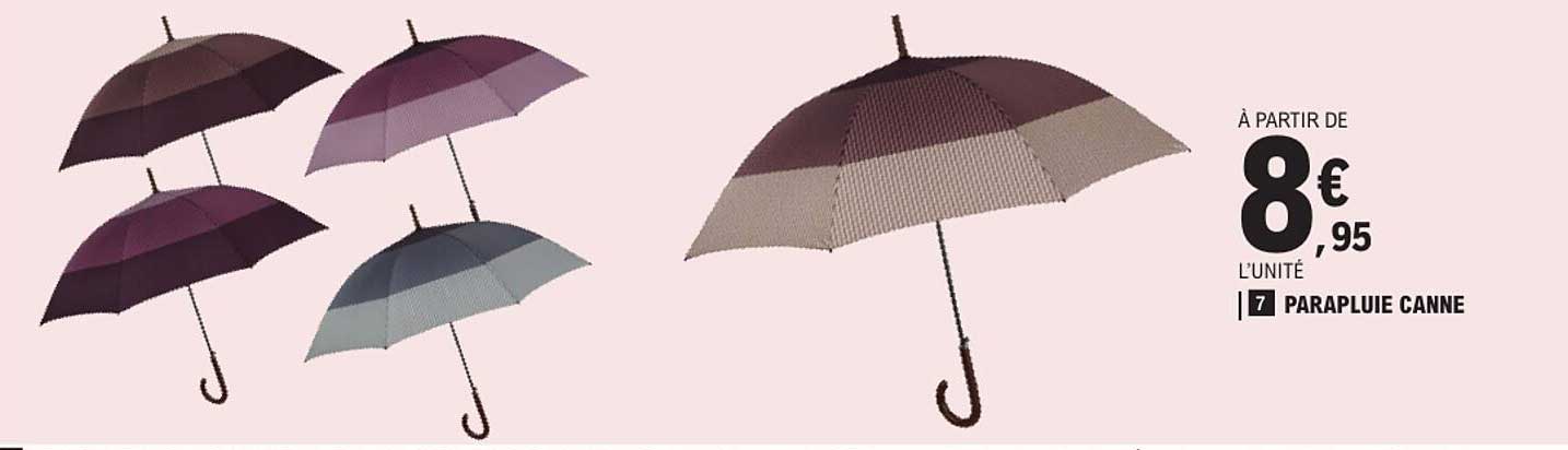 PARAPLUIE CANNE