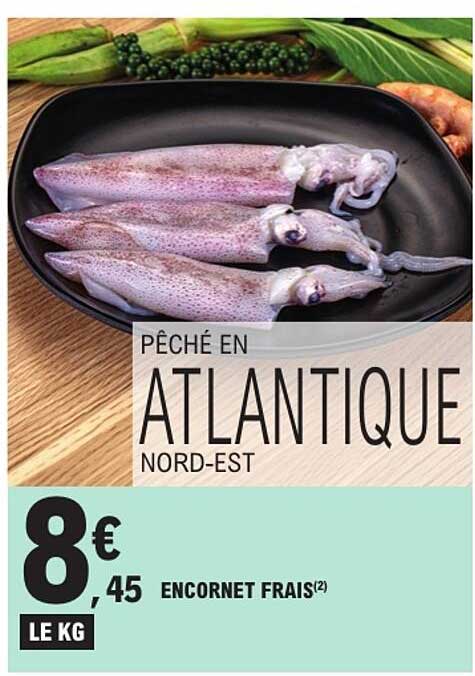 PÊCHÉ EN ATLANTIQUE NORD-EST ENCORNET FRAIS(2)