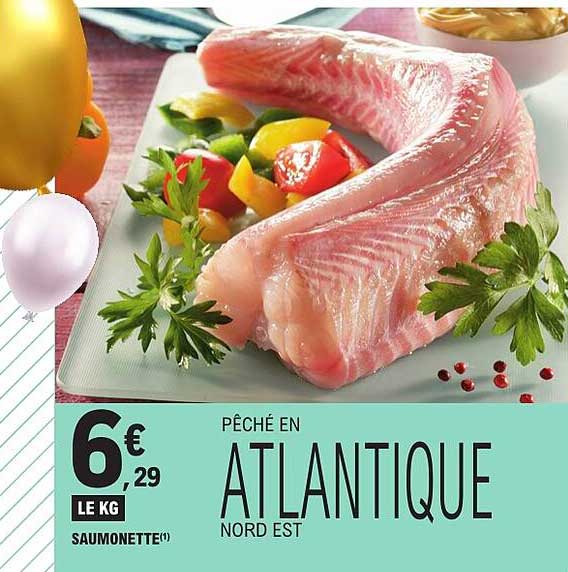 PÊCHÉ EN ATLANTIQUE NORD EST SAUMONETTE