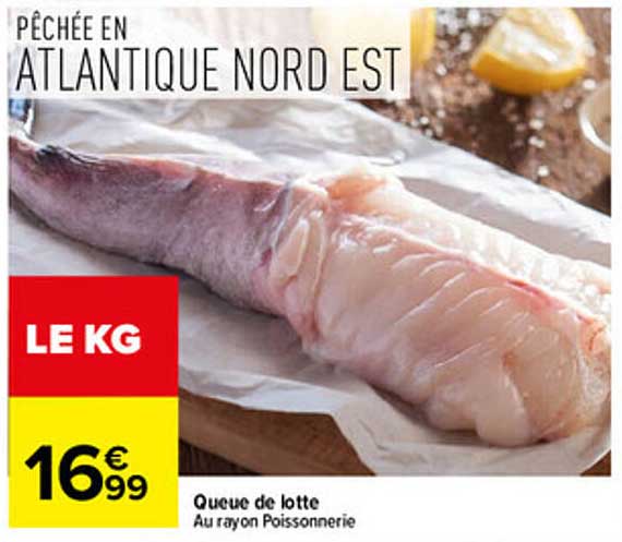 PÊCHÉE EN ATLANTIQUE NORD EST