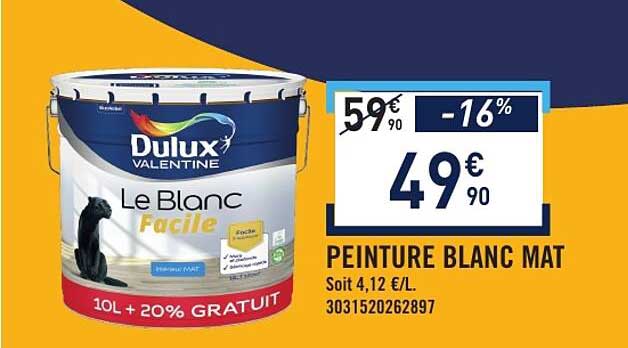 PEINTURE BLANC MAT