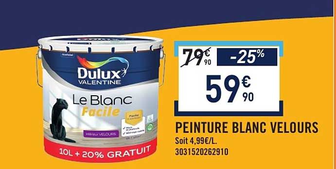 PEINTURE BLANC VELOURS