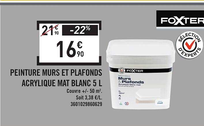 PEINTURE MURS ET PLAFONDS ACRYLIQUE MAT BLANC 5 L