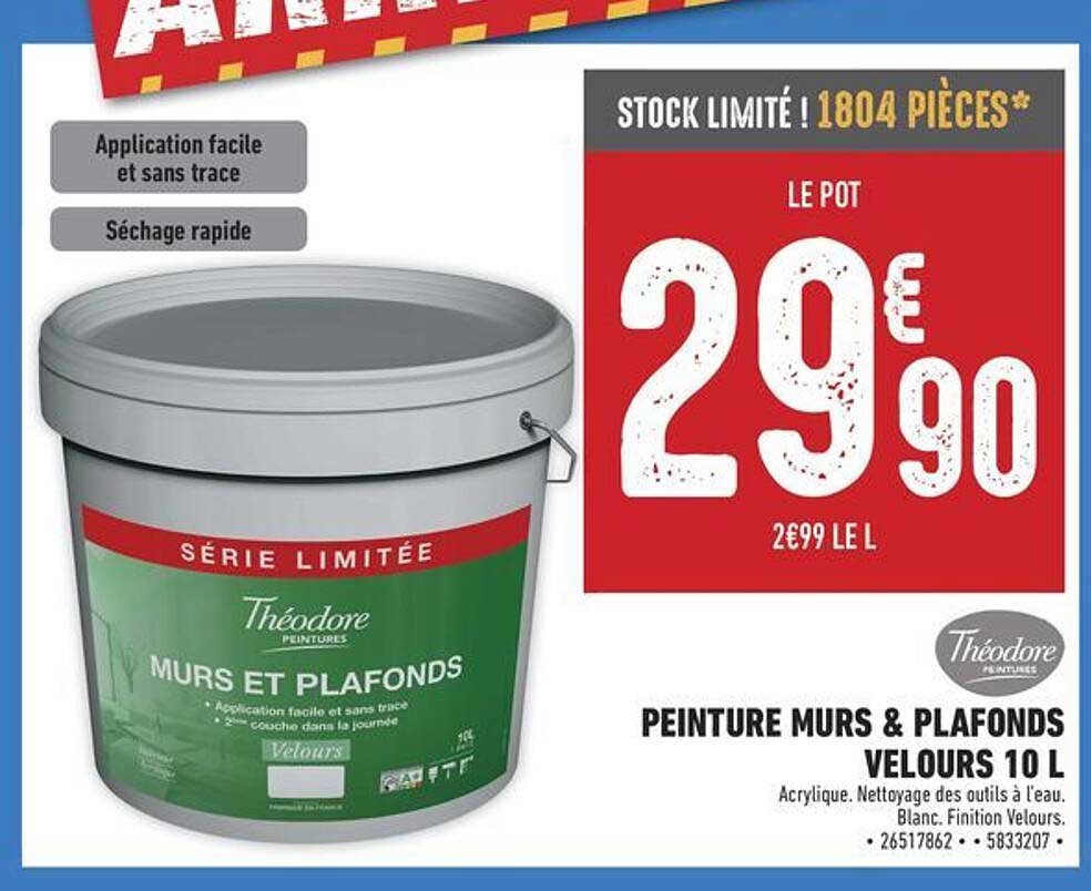 PEINTURE MURS & PLAFONDS VELOURS 10 L