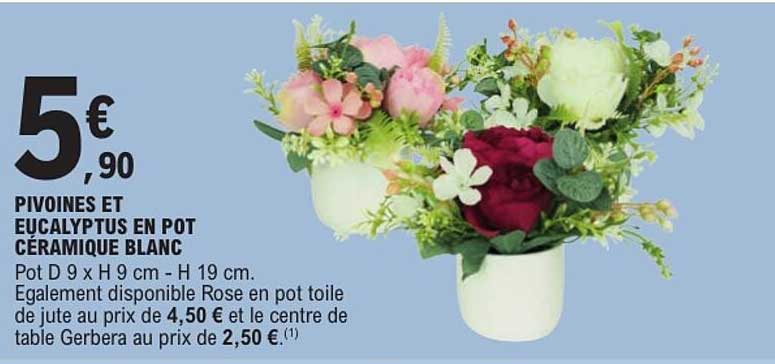 PIVOINES ET EUCALYPTUS EN POT CÉRAMIQUE BLANC