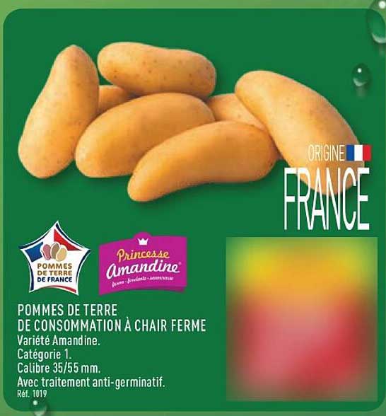 POMMES DE TERRE DE CONSOMMATION À CHAIR FERME
