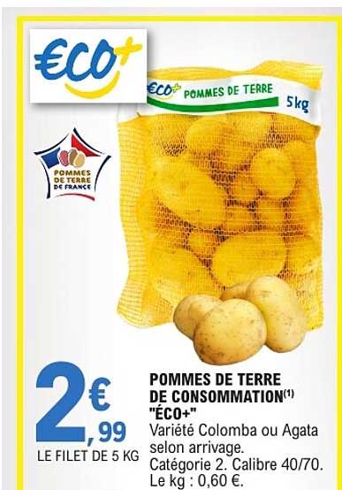 POMMES DE TERRE DE CONSOMMATION “ECO+”
