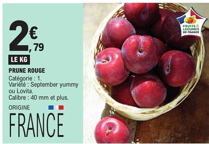 PRUNE ROUGE