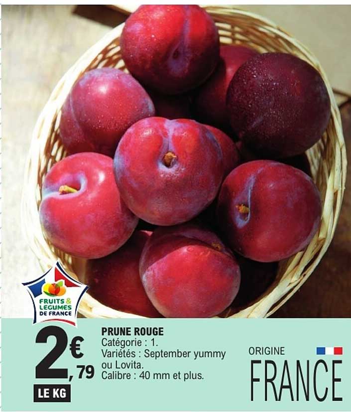 PRUNE ROUGE