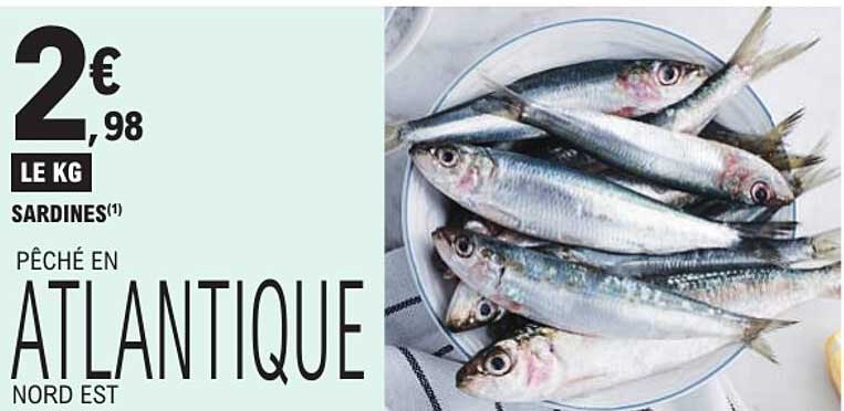 SARDINES(1) PÊCHÉ EN ATLANTIQUE NORD EST