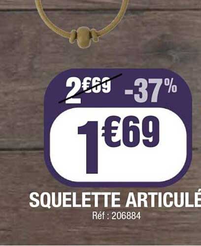 SQUELETTE ARTICULÉ