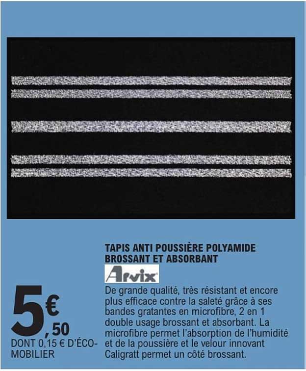 TAPIS ANTI POUSSIÈRE POLYAMIDE BROSSANT ET ABSORBANT