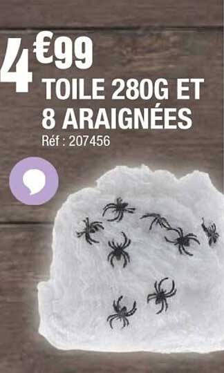 TOILE 280G ET 8 ARAIGNÉES