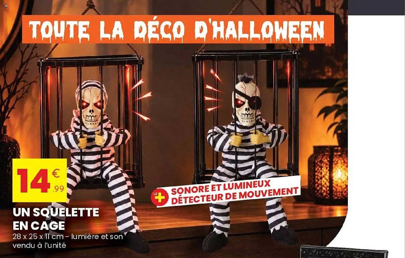 UN SQUELETTE EN CAGE