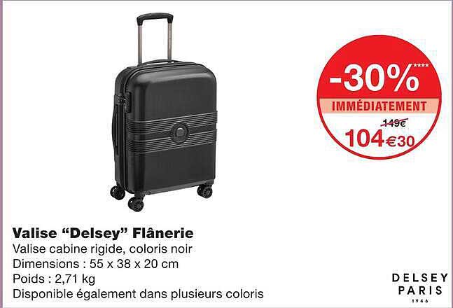 Valise “Delsey” Flânerie