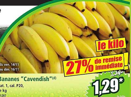 Bananes "Cavendish"