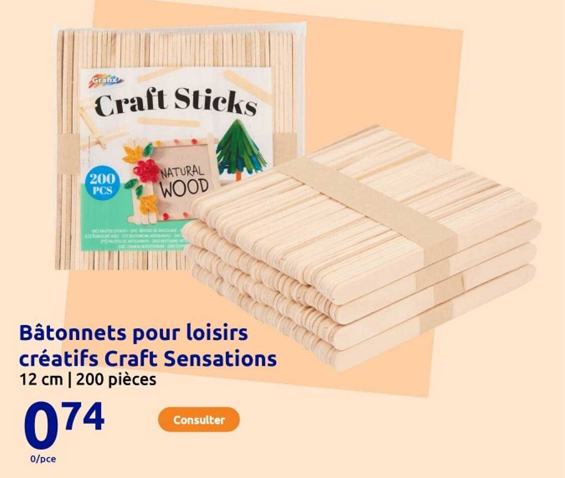Bâtonnets pour loisirs créatifs Craft Sensations