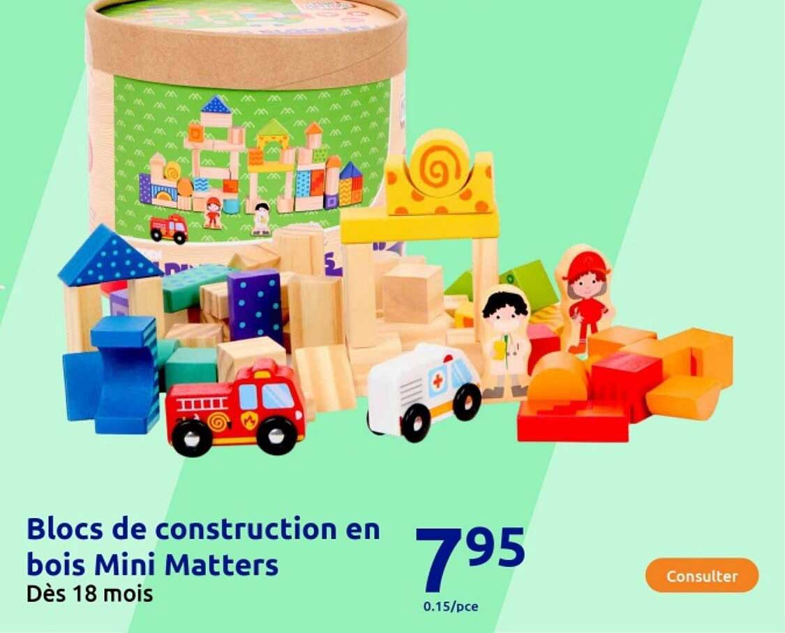 Blocs de construction en bois Mini Matters