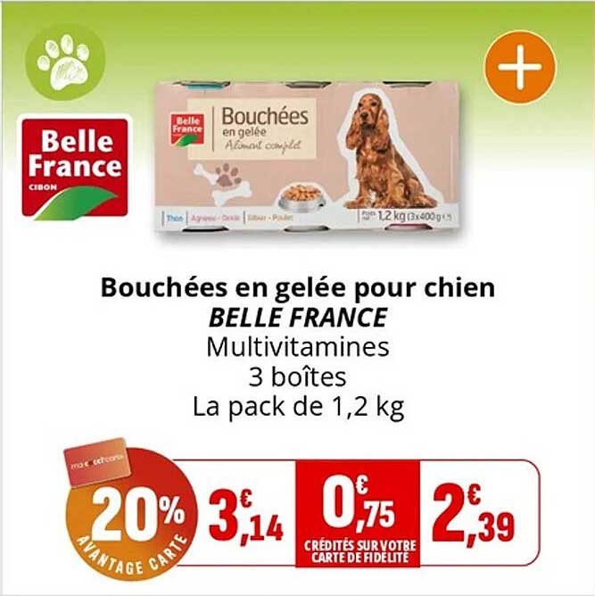 Bouchées en gelée pour chien BELLE FRANCE