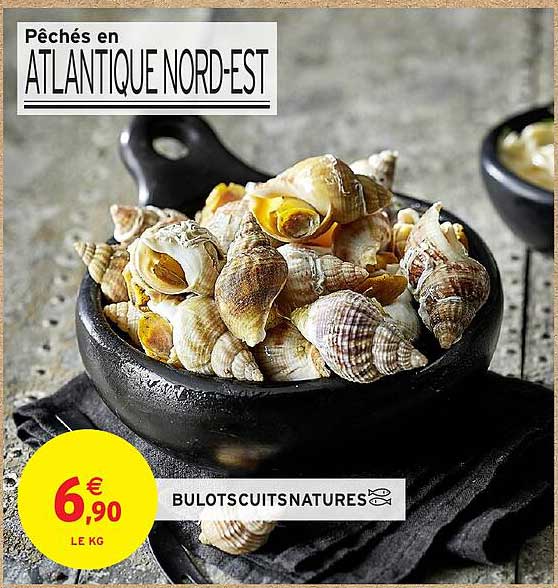 Bulots cuits nature